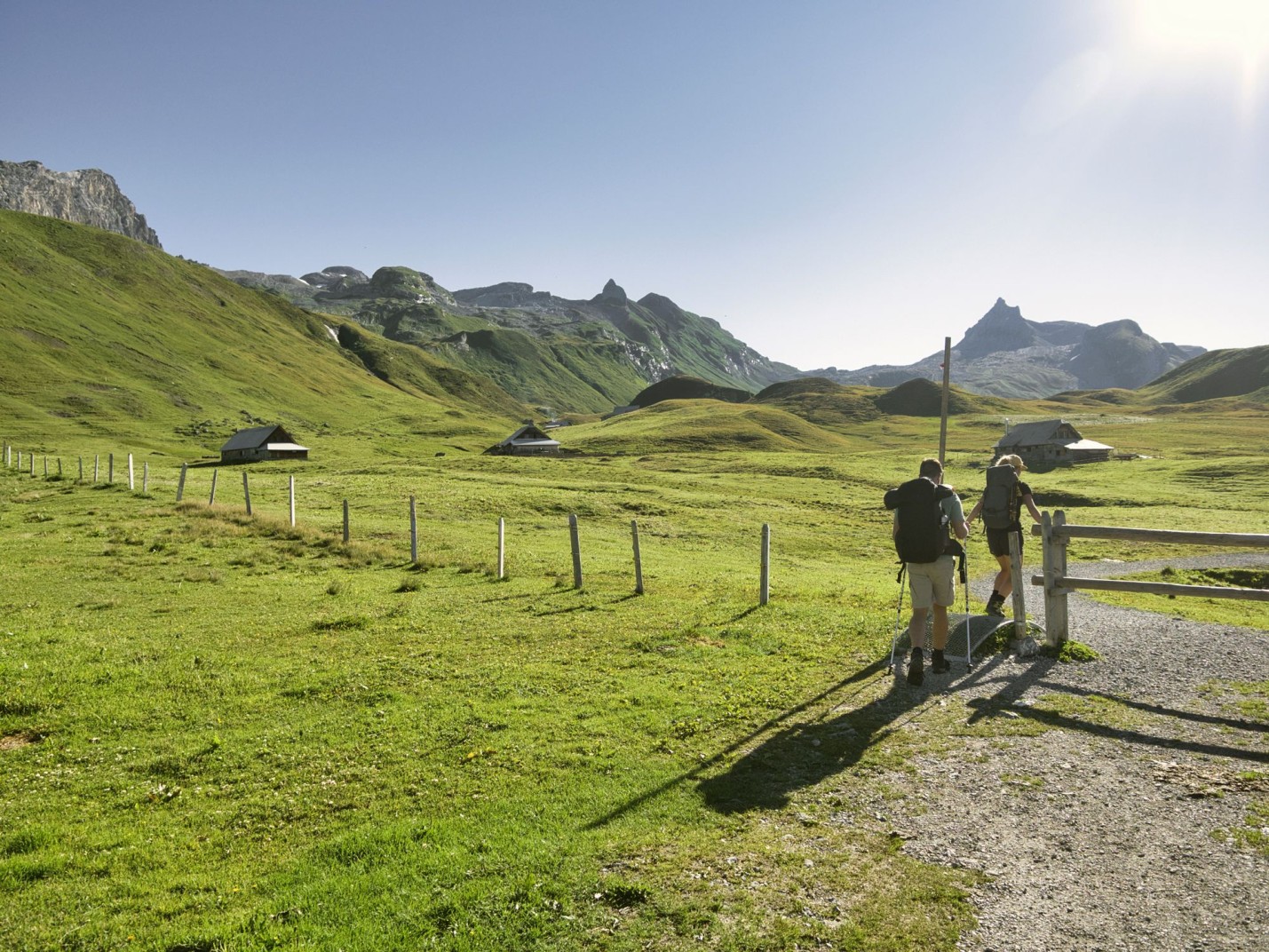 SWW_Summer_7192211