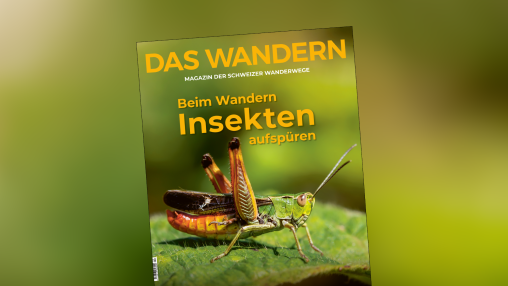 Web_1600x600px_Mag_d (1)
