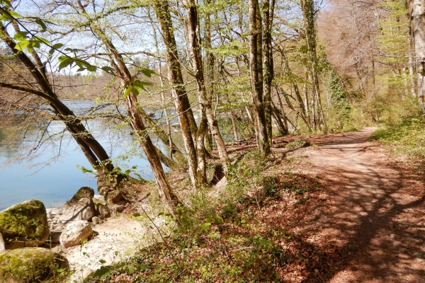 Sulle rive della Reuss immersi nella natura