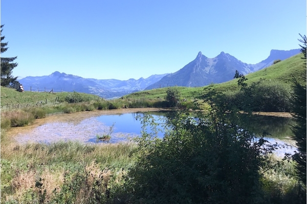 40. Le Lac de Mongeron