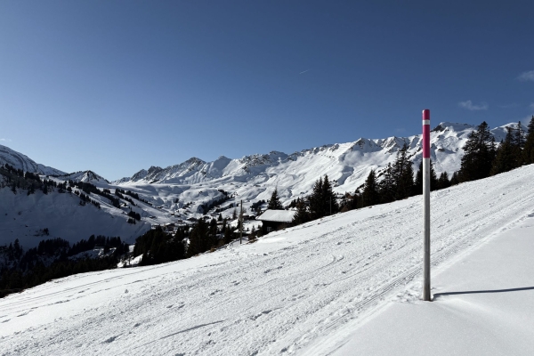 Quiétude et beau panorama dans le Val d’Illiez