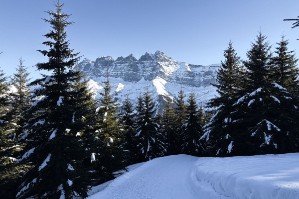 Quiétude et beau panorama dans le Val d’Illiez