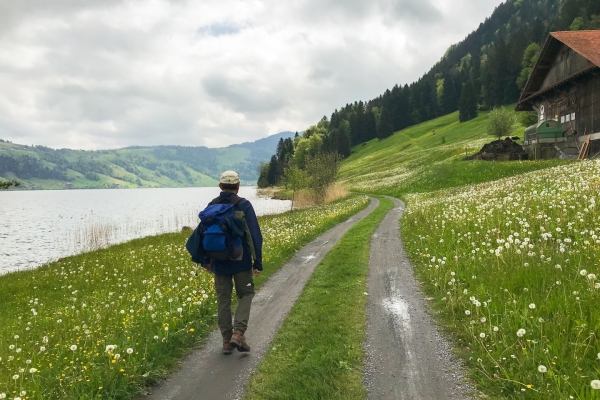 Vom Ägerisee hinauf zu den Hochmooren