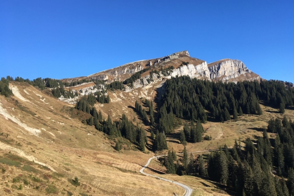 Uf ä Hohgant und Furggelegütsch