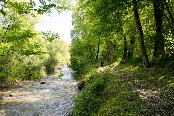 Üppiger Wald und ein Wasserfall im Malcantone