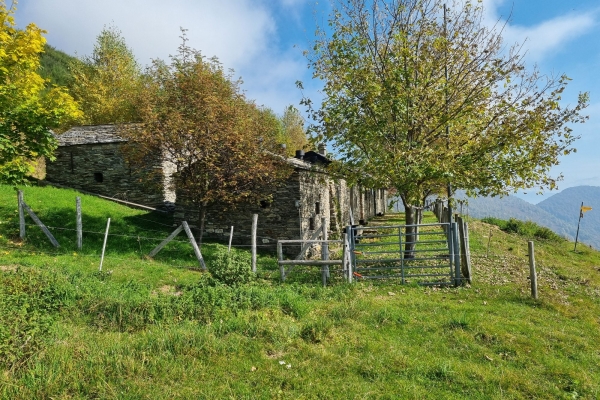 Mugena, scoltando per l'Alpe Agario