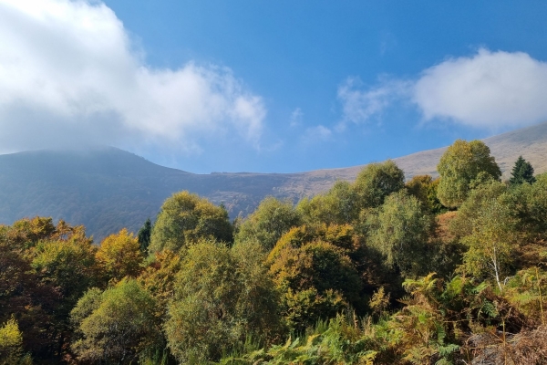 Mugena, scoltando per l'Alpe Agario