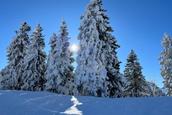Panorama-Schneeschuhtrail zum Furggelenstock