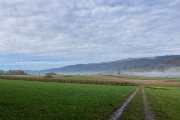 Durch die Twannbachschlucht am Bielersee