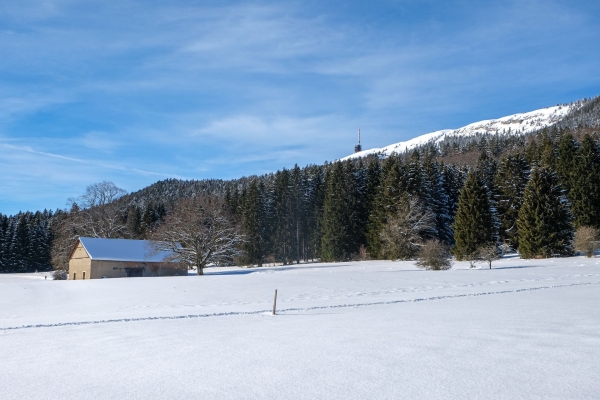 Sous le Chasseral, au-dessus du brouillard