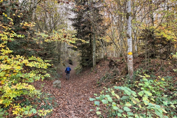 Dans l’Auenschutzpark argovien