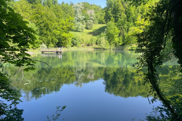 «Chriesibluescht» nahe des Gempen