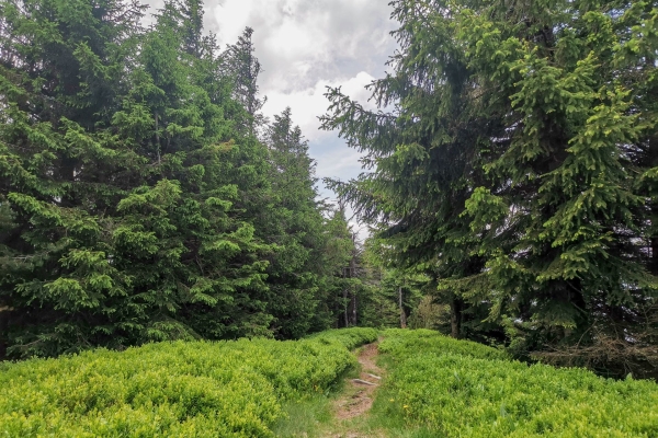 Picco d’entusiasmo nell’Entlebuch