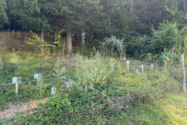 Sentier découverte de l’abeille et de la biodiversité