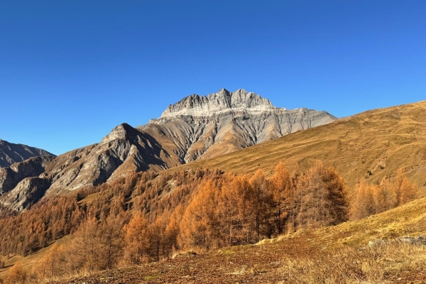 Prächtige Ausblicke vom Piz Arina