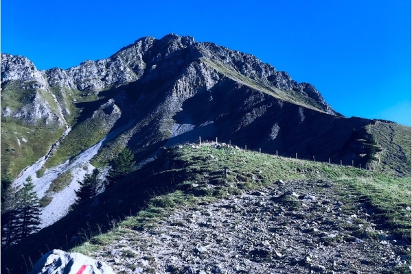 6. Die Kaiserliche 08:00