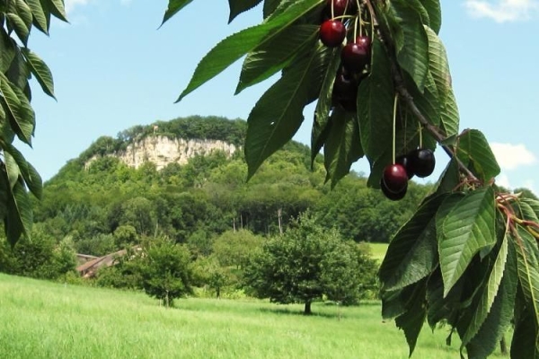 Wandertreffen der Kantone (AG, BS, BL, SO)  - Route 3 (lang)