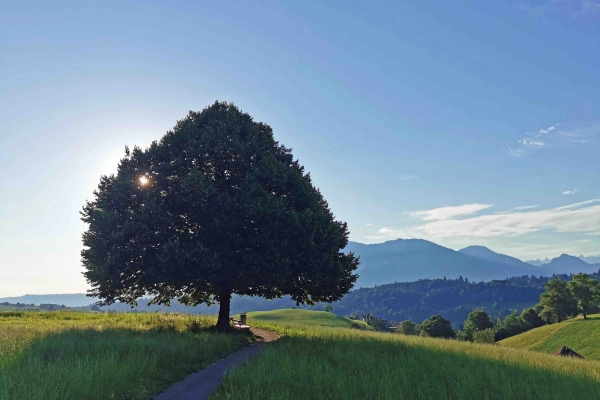 Am Sunntigmorge zur Stadt uus