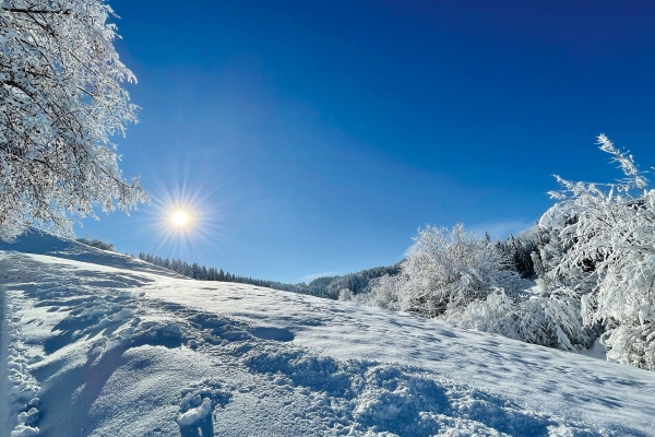 Winterwanderung am Fusse der südlichen Alpsteinkette