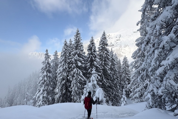 Leichte Schneeschuhwanderung durchs Wildschutzgebiet