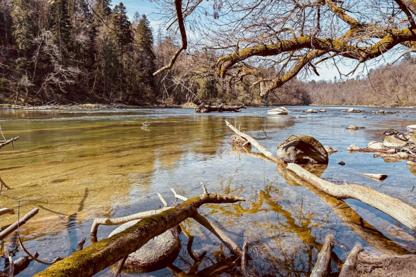 Am Ufer der naturbelassenen Reuss