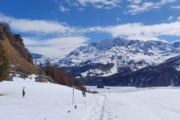 Vom Silsersee zur Alp Mouttatsch