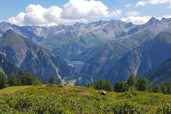 Fioriture in alta quota