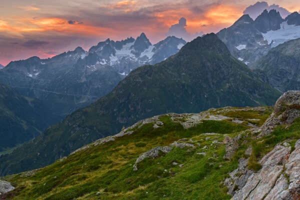 La nature à l’état pur