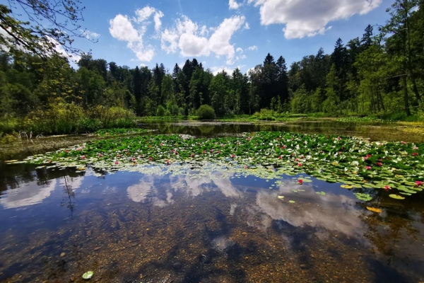Wandertreffen der Kantone (AG, BS, BL, SO)  - Route 1 (kurz)