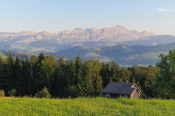 Vom Fusse des Säntismassiv auf die Terrasse über dem Bodensee