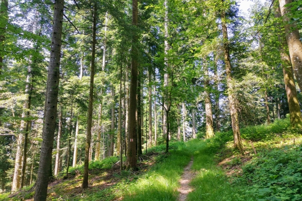 Belles collines de l'Entlebuch