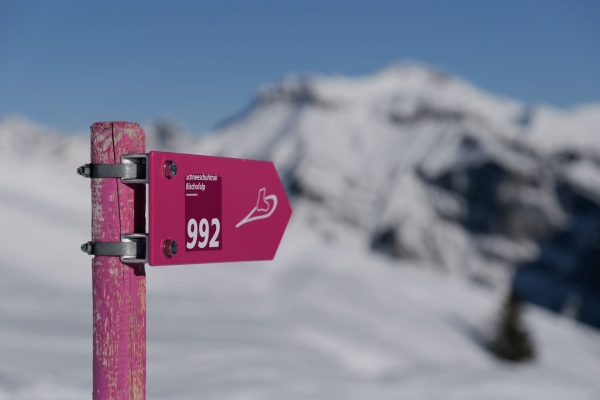 Géologie et belles vues au-dessus d’Elm