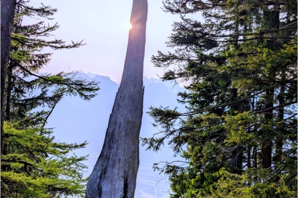 52. Die Kristallsucher vom Mont Chemin (VS)