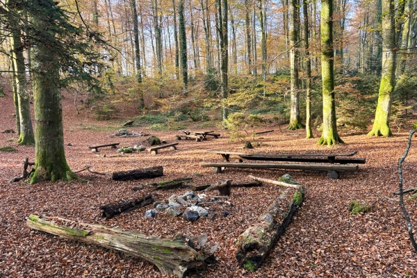 Dans l’Auenschutzpark argovien
