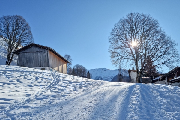 Gemütlich bis zum Berghaus Alpenrösli
