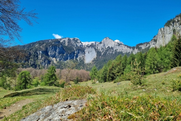 Biodiversität im Churer Rheintal