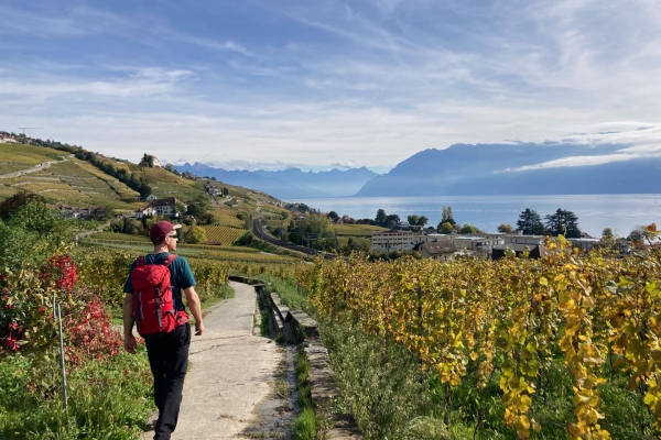 Étendue inspirante du lac Léman