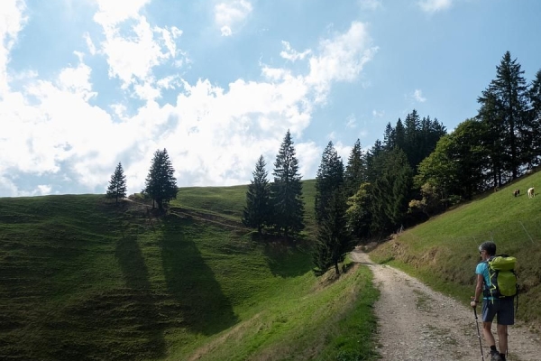 Flühlingswanderung zum Napf