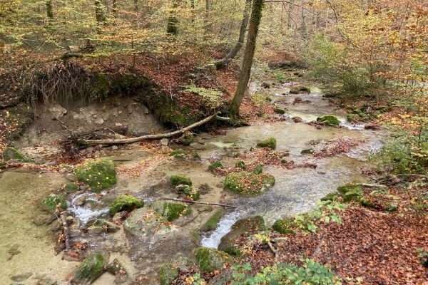 Durchs Naherholungsgebiet bei Zürich
