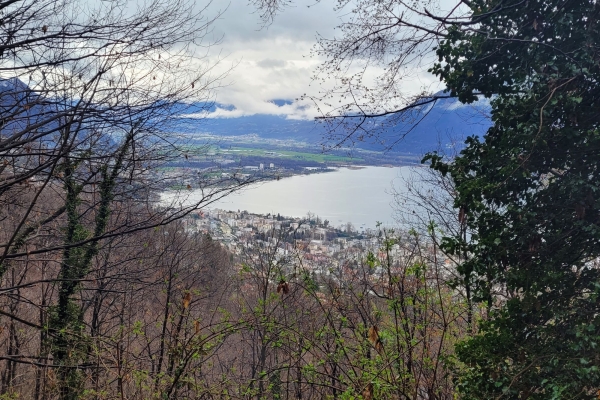 Locarno panoramica