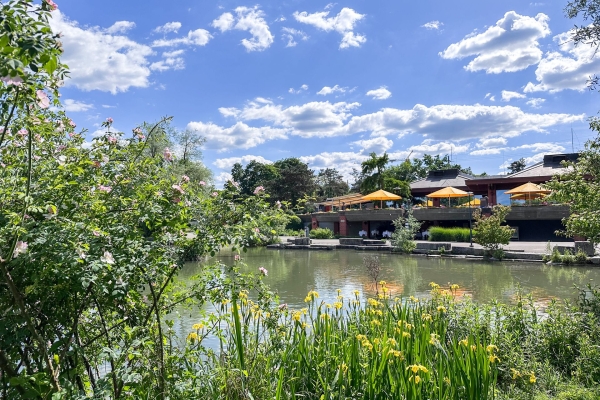 Sentiero in fiore al canale di St. Alban