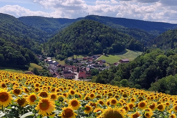 Von Bibern nach Bargen