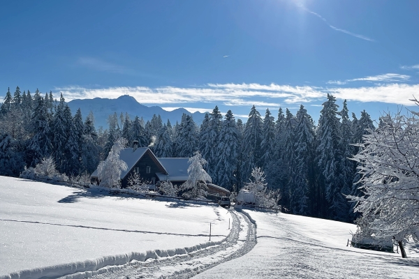 Neujahreswanderung Klarheit und Weitblick