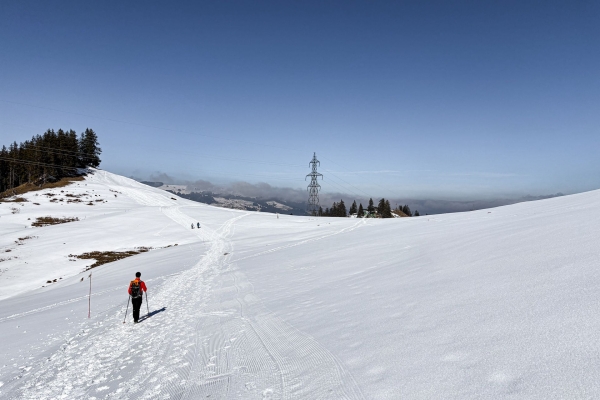 Kurze Rundtour für Sonnenhungrige