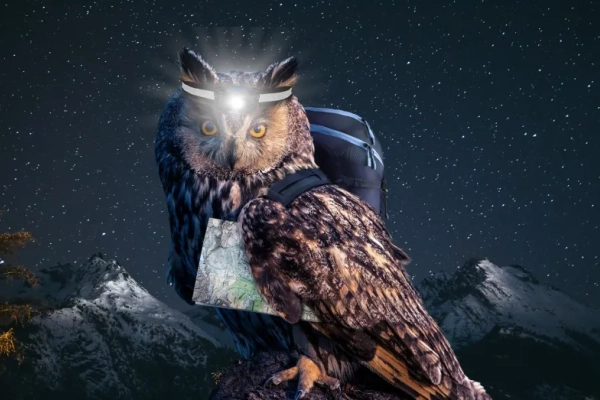 Nuit suisse de la randonnée : Entre le col de la Croix et les Chaignons **