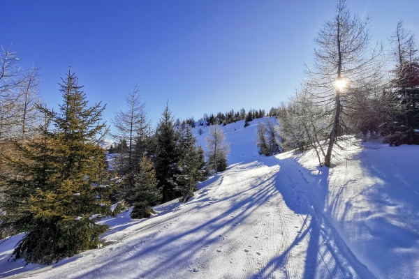 Verschneite Hochebene im Domleschg