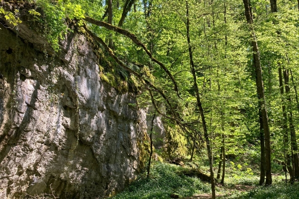 Von Thayngen nach Herblingen