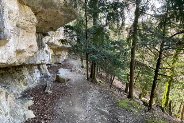 Rund um Neuenburg in die Natur eintauchen