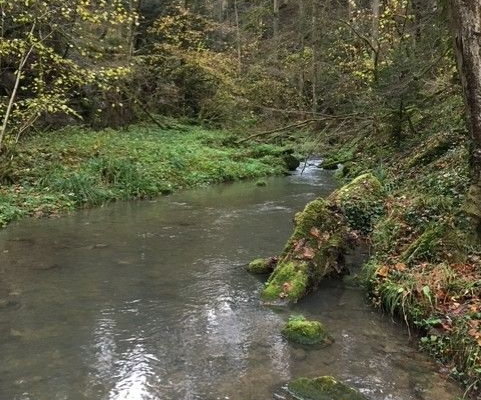 24. Grellingen Chaltbrunnental