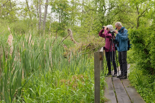 Neue Natur im Seebachtal